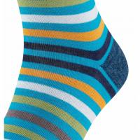 Image of Tinted Stripe Socks by FALKE